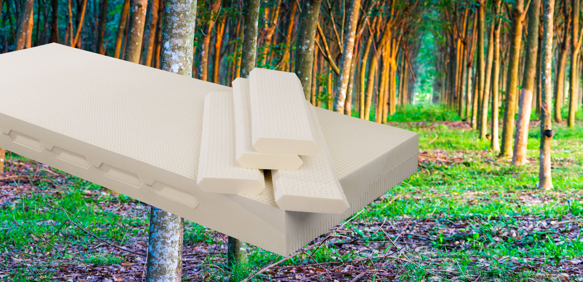 Diese Matratze besteht aus 100% reinem Naturlatex und bietet den perfekten Komfort mit bester Körperunterstützung für mehr  Energiegewinn. 